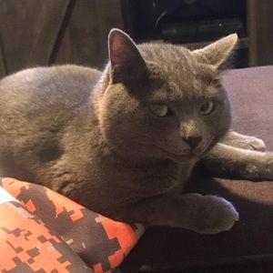 Meet your Posher, Jay